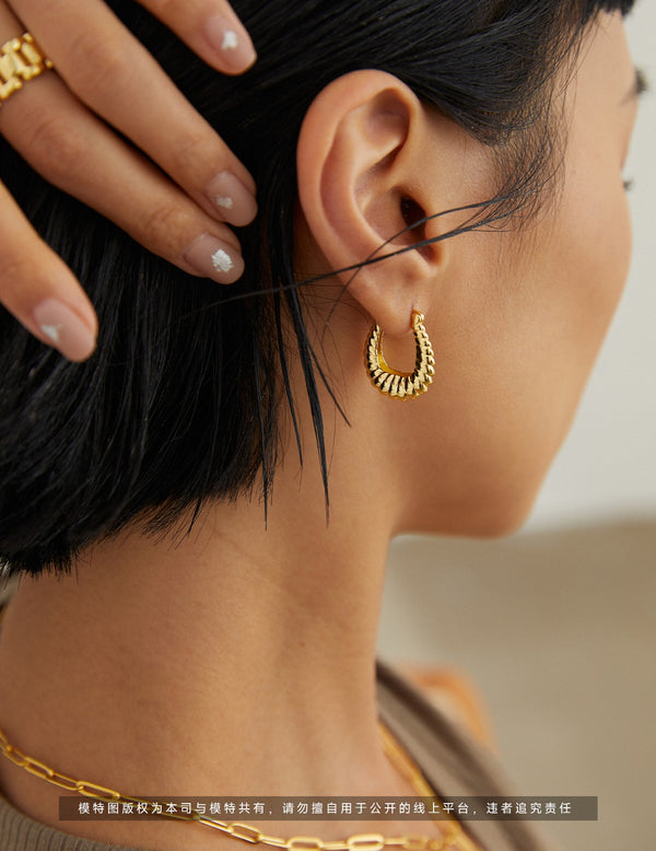 Horn earrings