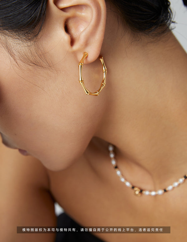 Sterling silver half -circle earrings